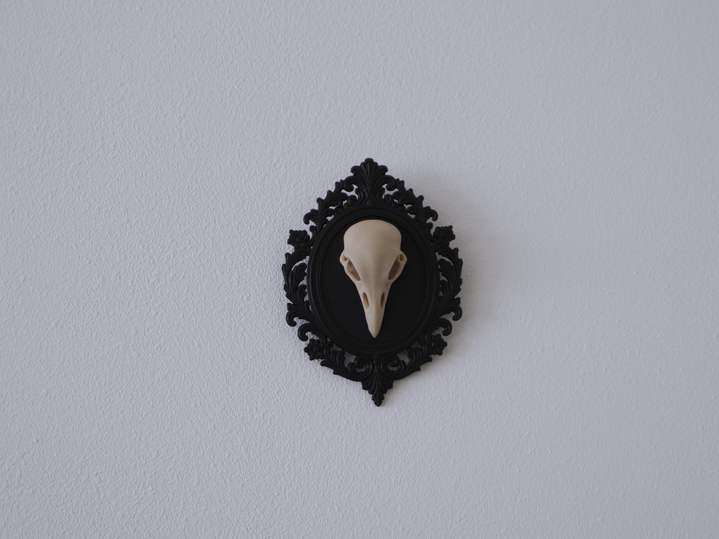 Raben Schädel, Wanddekoration, vegane Taxidermie