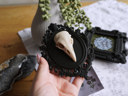 Raben Schädel, Wanddekoration, vegane Taxidermie