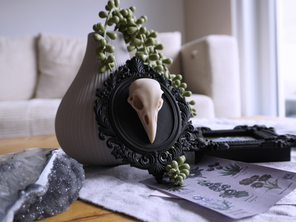 Raben Schädel, Wanddekoration, vegane Taxidermie