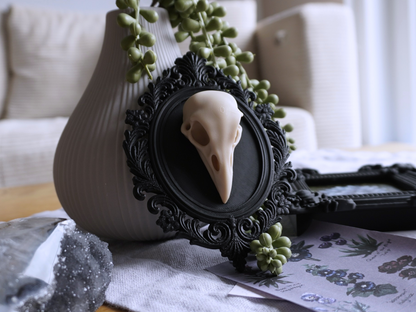 Raben Schädel, Wanddekoration, vegane Taxidermie