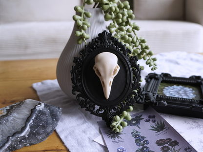 Raben Schädel, Wanddekoration, vegane Taxidermie