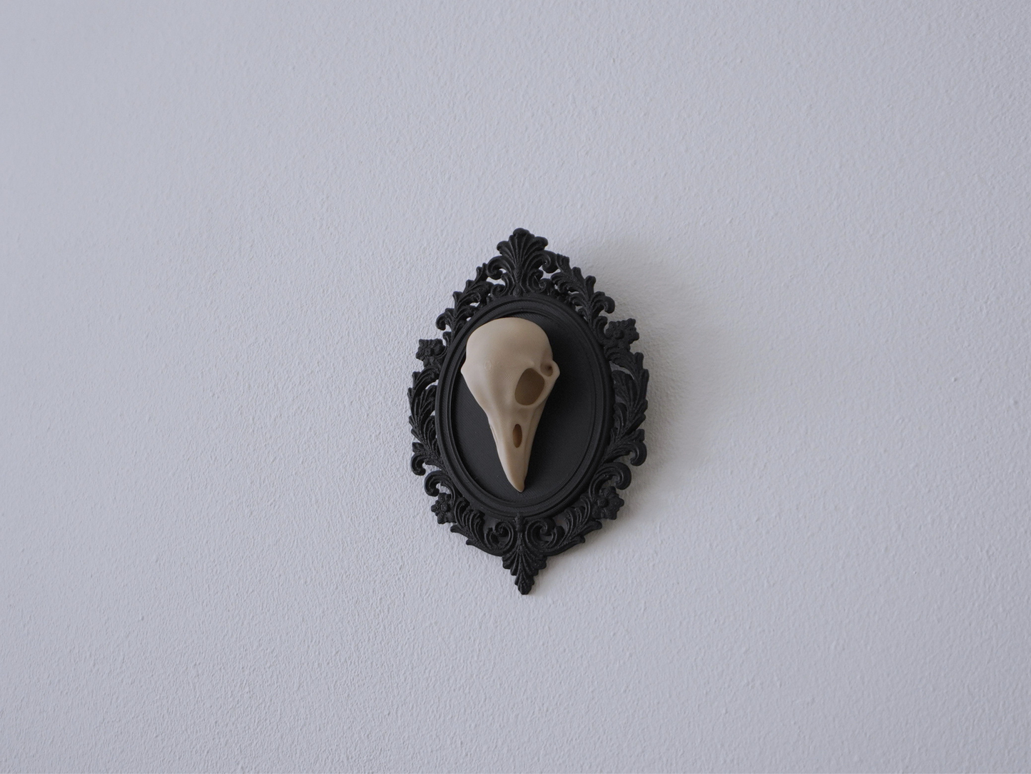 Raben Schädel, Wanddekoration, vegane Taxidermie