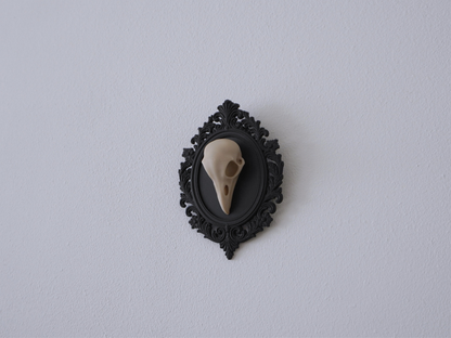Raben Schädel, Wanddekoration, vegane Taxidermie