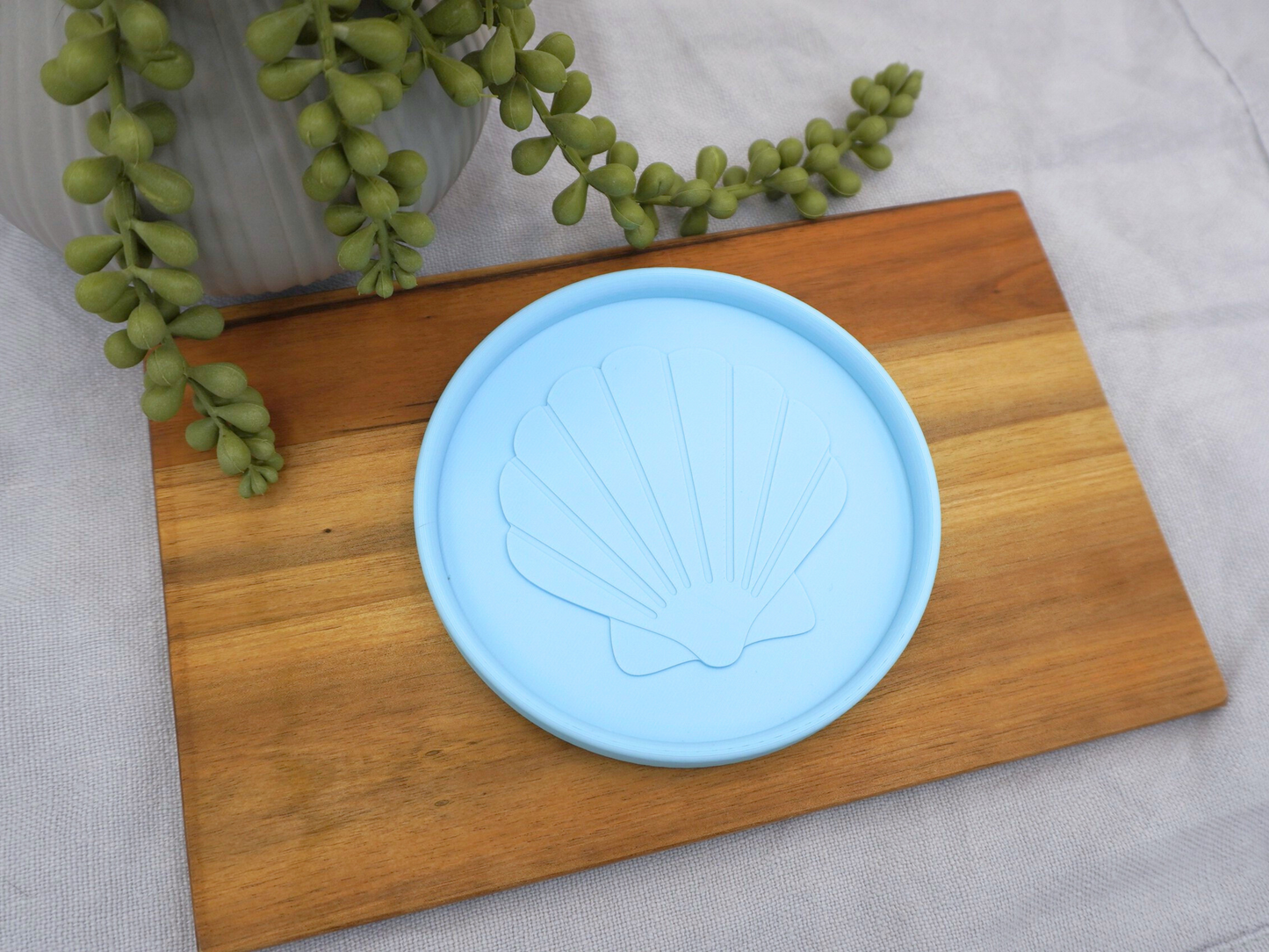 Decorative Shell Dish