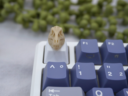 T-Rex Schädel Keycap, Dino, Fossil, Cherry MX Keycap