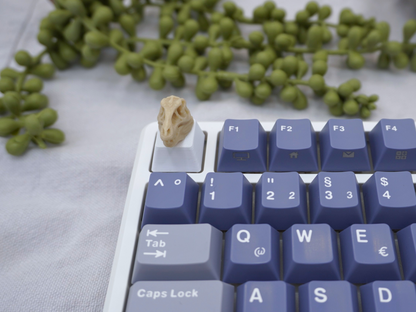 T-Rex Schädel Keycap, Dino, Fossil, Cherry MX Keycap