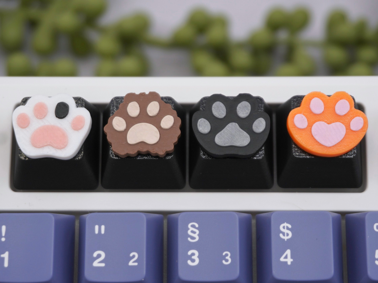 Katzenpfoten Keycap, 4er-Set, Cherry MX Keycap