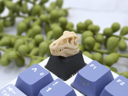 T-Rex Schädel Keycap, Dino, Fossil, Cherry MX Keycap