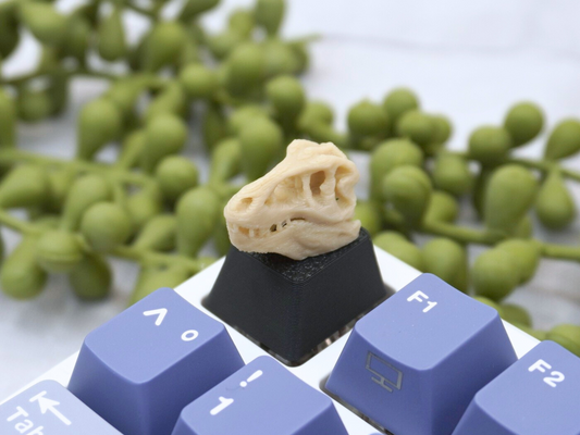 T-Rex Schädel Keycap, Dino, Fossil, Cherry MX Keycap