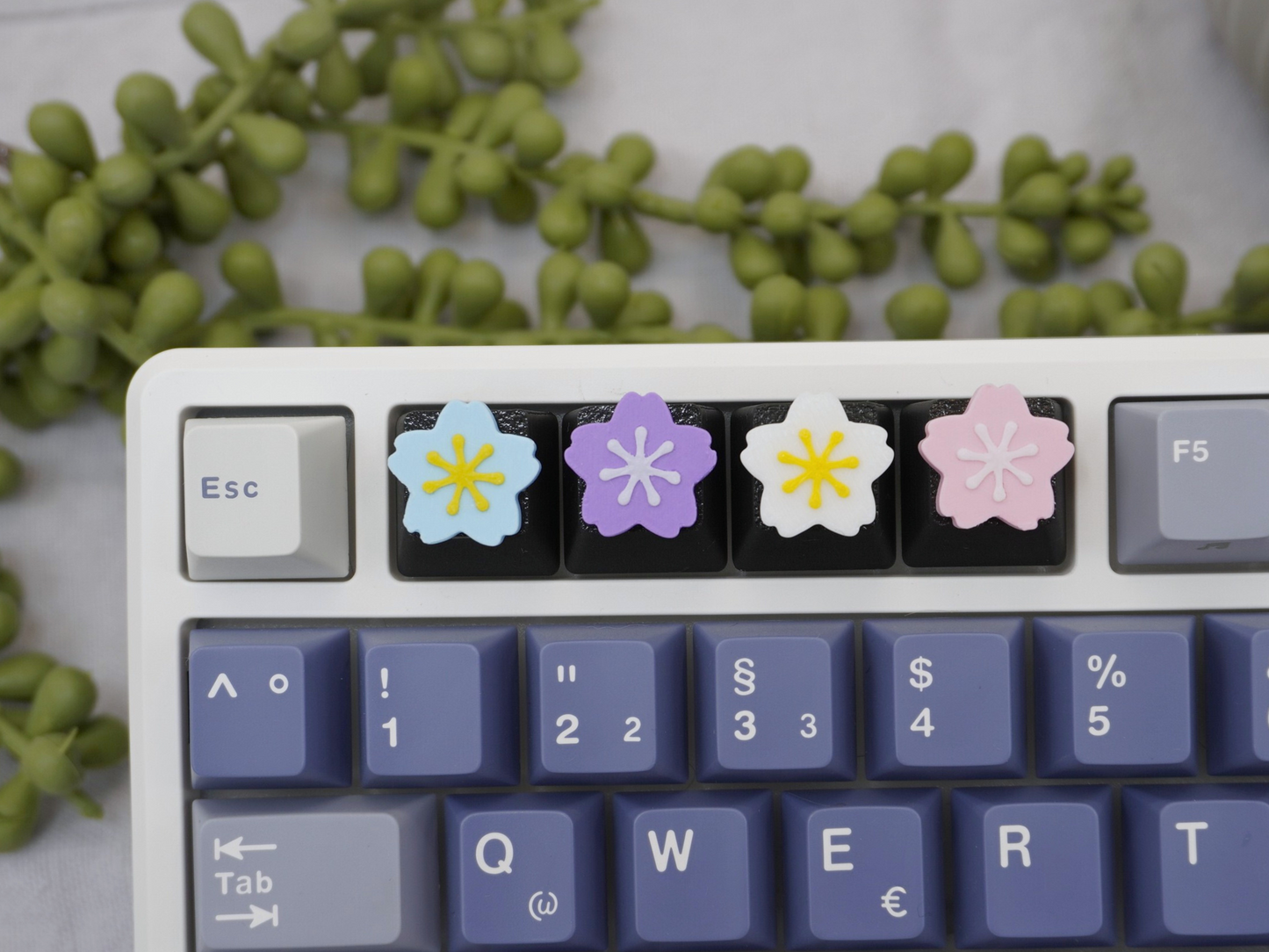 Keycap Sakura Blumen, 4er-Set, Cherry MX Keycap
