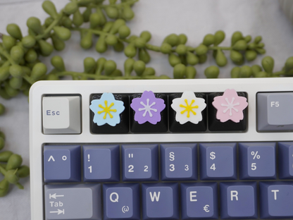 Keycap Sakura Blumen, 4er-Set, Cherry MX Keycap