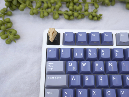 T-Rex Schädel Keycap, Dino, Fossil, Cherry MX Keycap