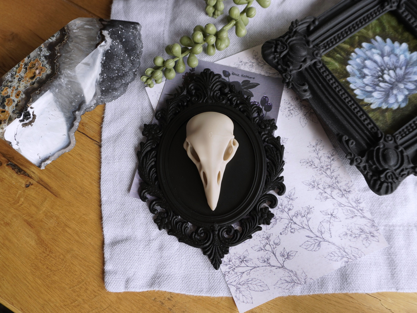 Raben Schädel, Wanddekoration, vegane Taxidermie