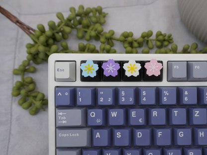 Keycap Sakura Blumen, 4er-Set, Cherry MX Keycap