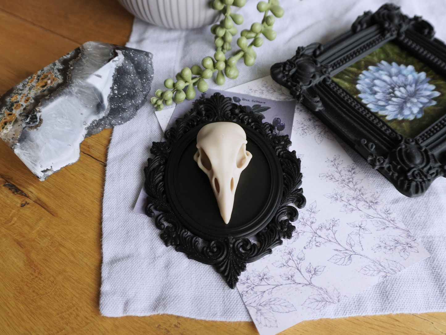 Raben Schädel, Wanddekoration, vegane Taxidermie