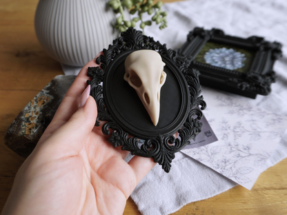 Raben Schädel, Wanddekoration, vegane Taxidermie