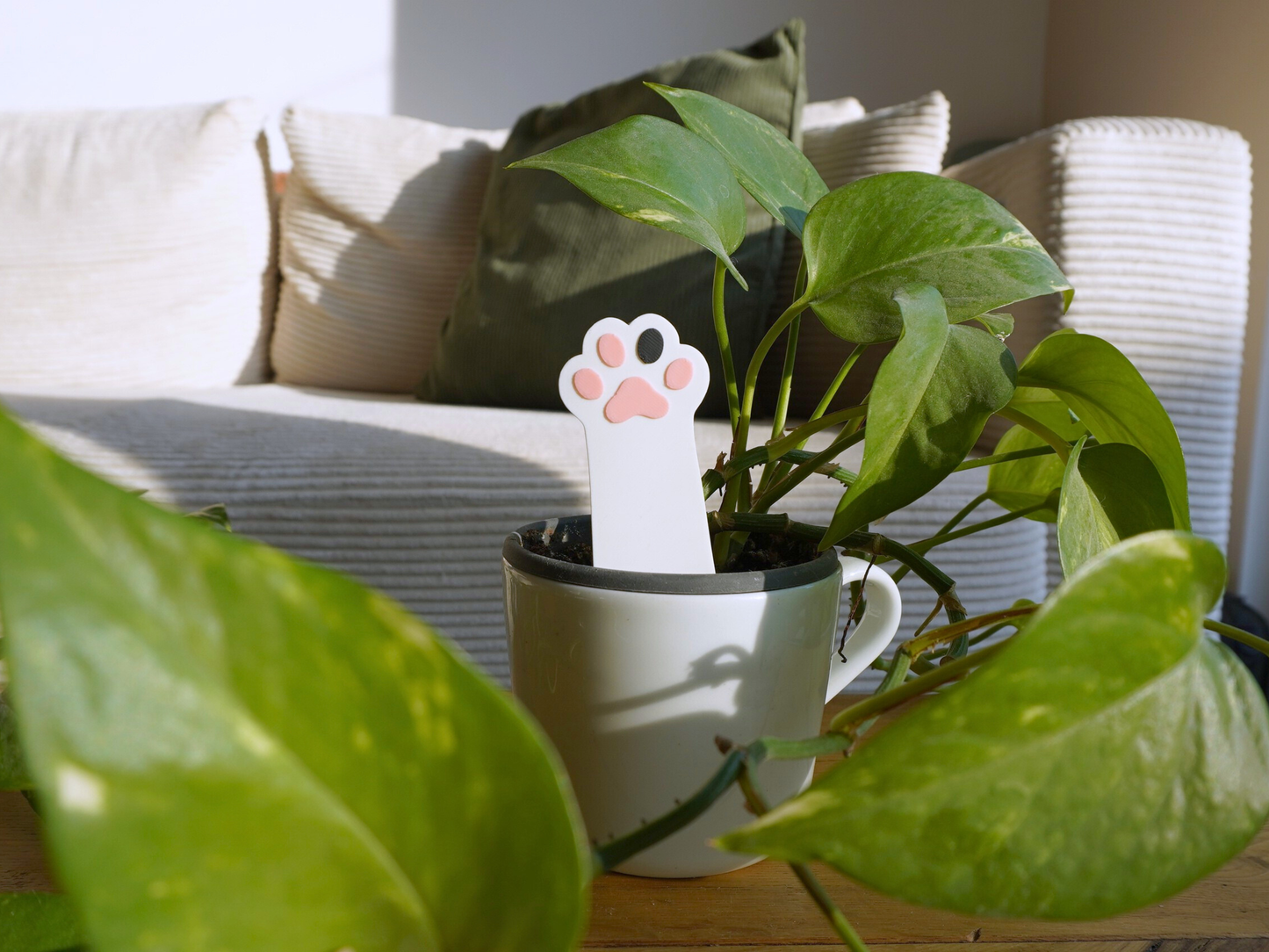 Blumentopfstecker Katzenpfote, Zimmerpflanzendeko