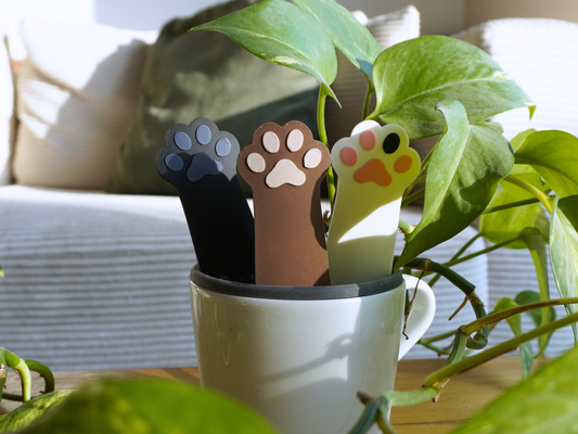 Blumentopfstecker Katzenpfote, Zimmerpflanzendeko