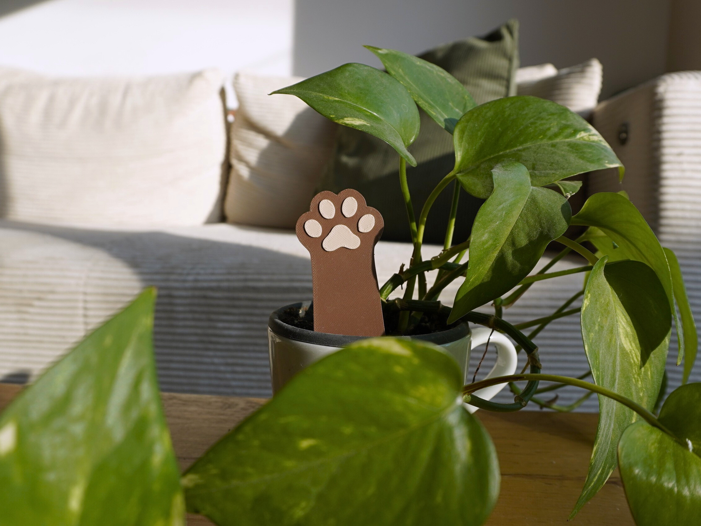 Blumentopfstecker Katzenpfote, Zimmerpflanzendeko