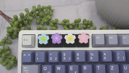 Keycap Sakura Blumen, 4er-Set, Cherry MX Keycap