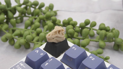 T-Rex Schädel Keycap, Dino, Fossil, Cherry MX Keycap