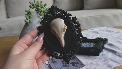 Raben Schädel, Wanddekoration, vegane Taxidermie